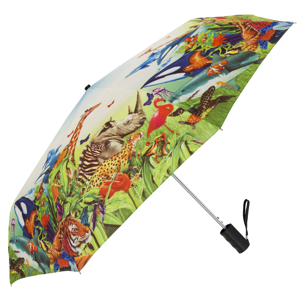 Full-Color Canopy Printing - Single Canopy Folding